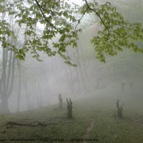 ارتفاعات امام‌زاده اسحاق – شفت